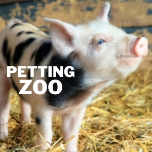 Petting Zoo 